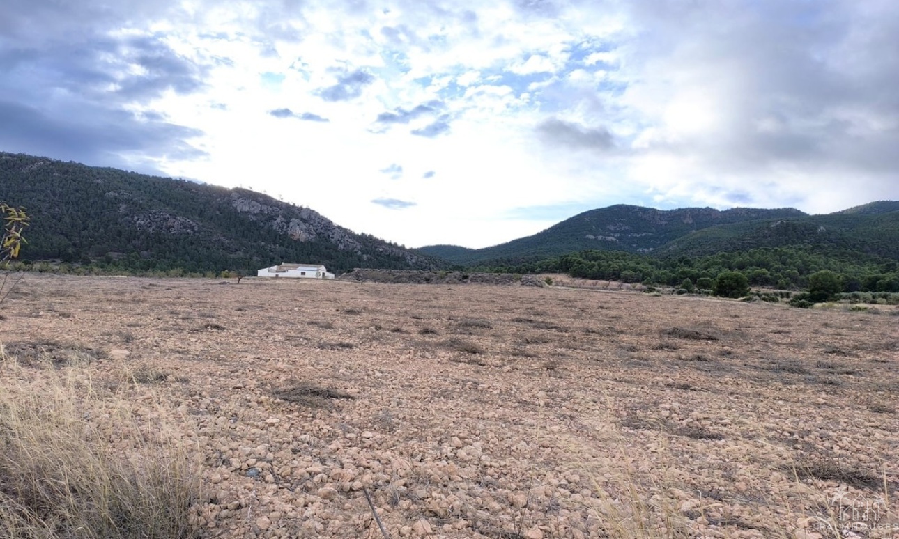Revente - Country house - Yecla - Yecla Centro
