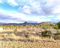 Revente - Country house - Yecla - Yecla Centro