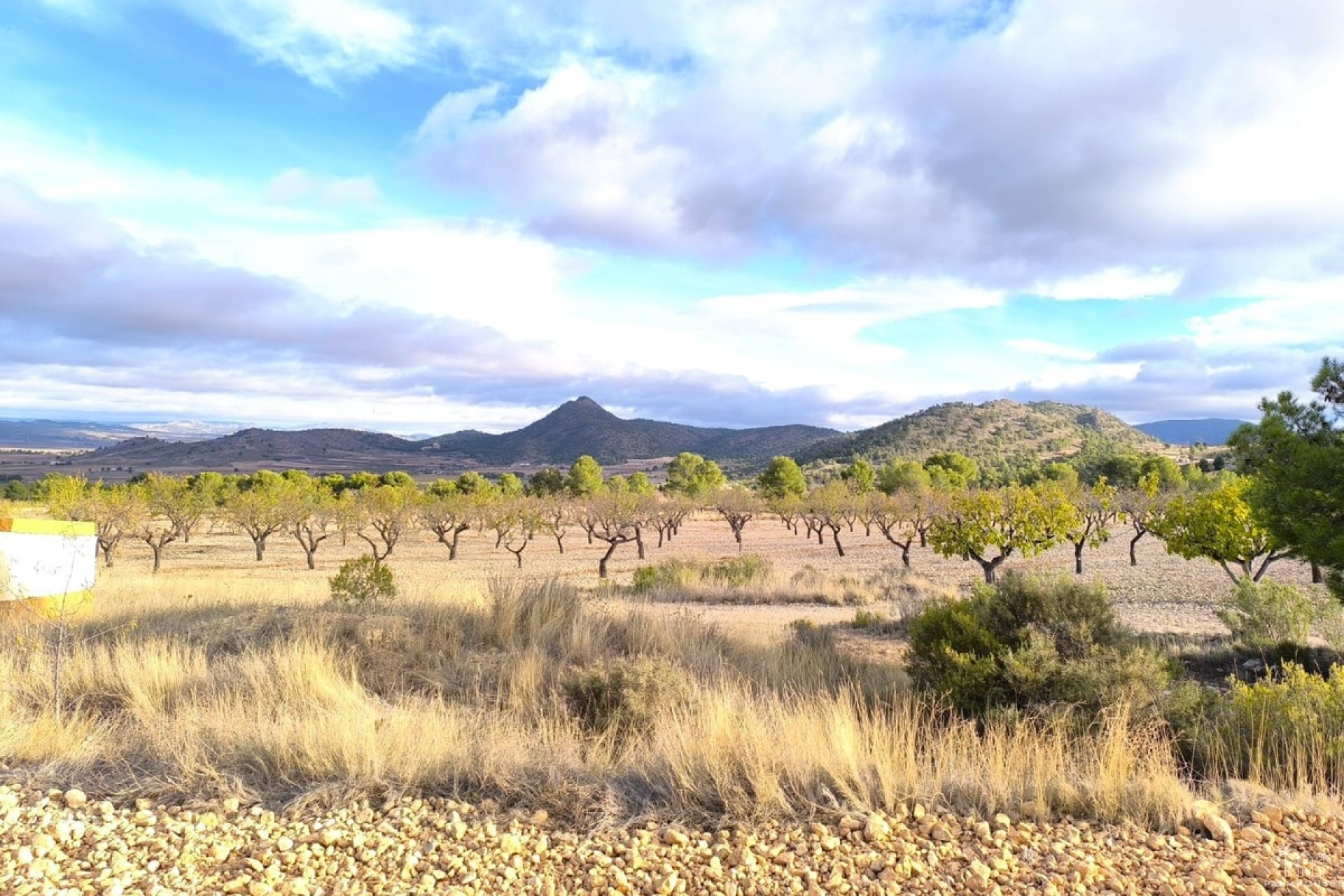 Revente - Country house - Yecla - Yecla Centro