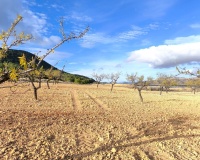Revente - Country house - Yecla - Yecla Centro