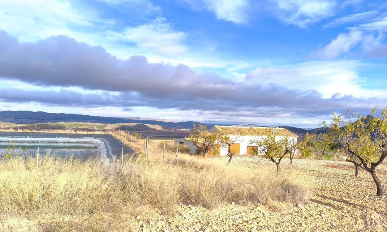 Revente - Country house - Yecla - Yecla Centro