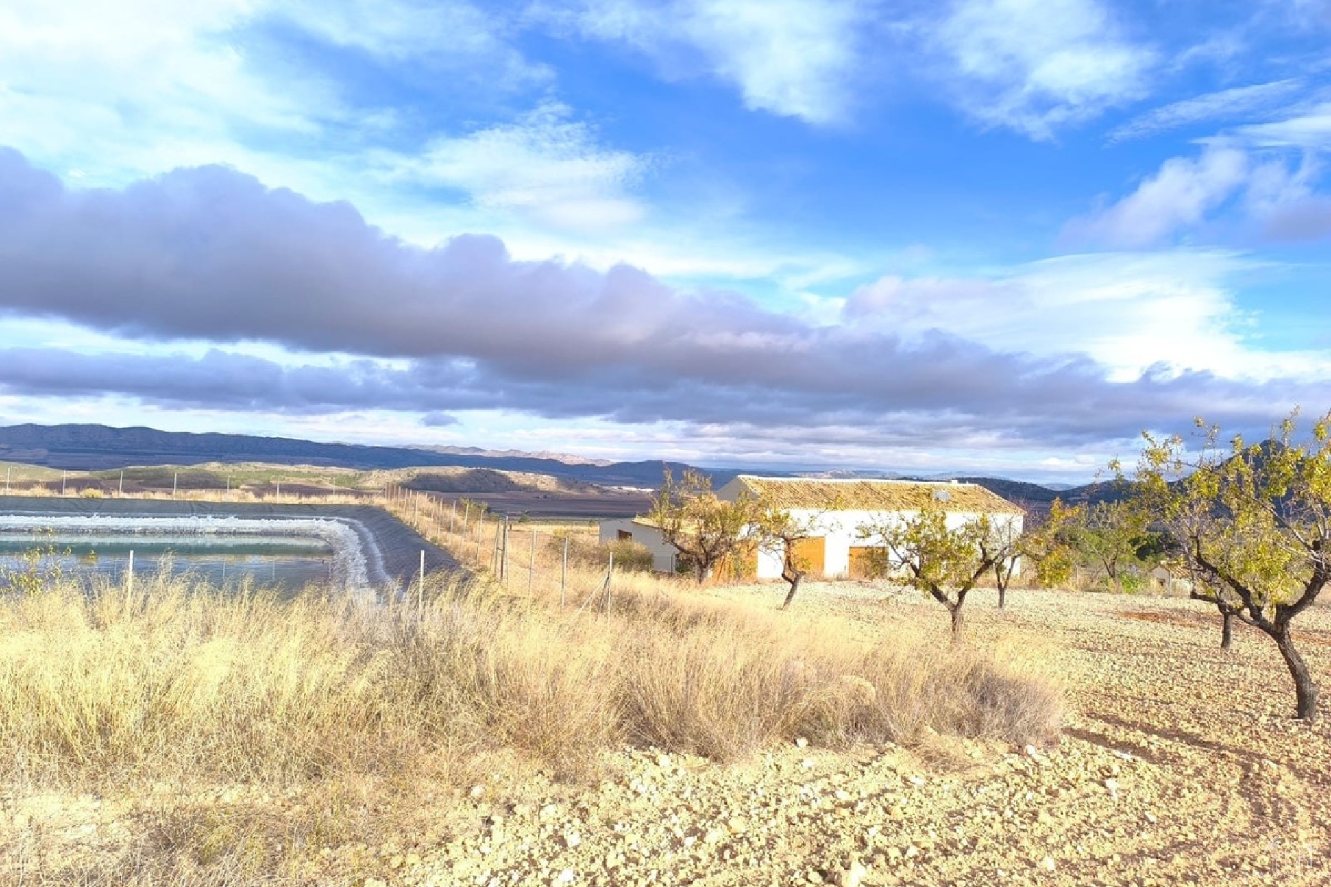 Revente - Country house - Yecla - Yecla Centro