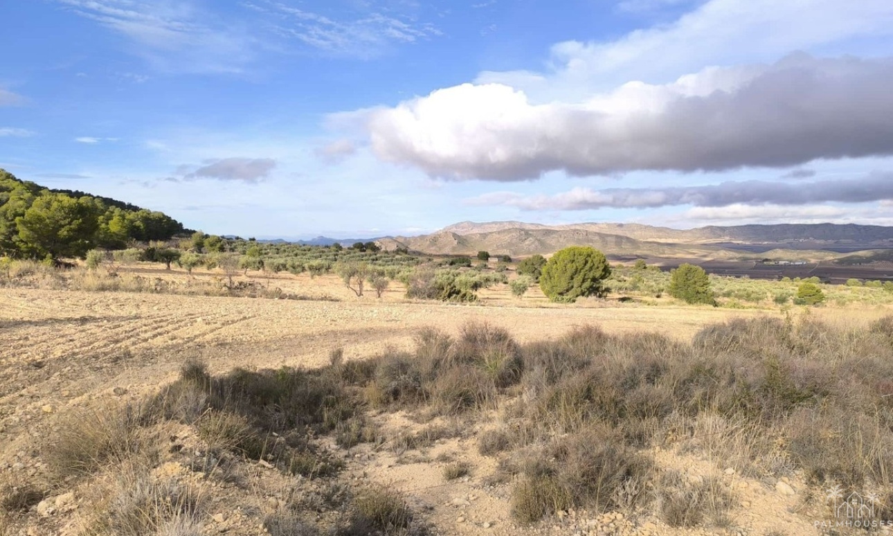 Revente - Country house - Yecla - Yecla Centro