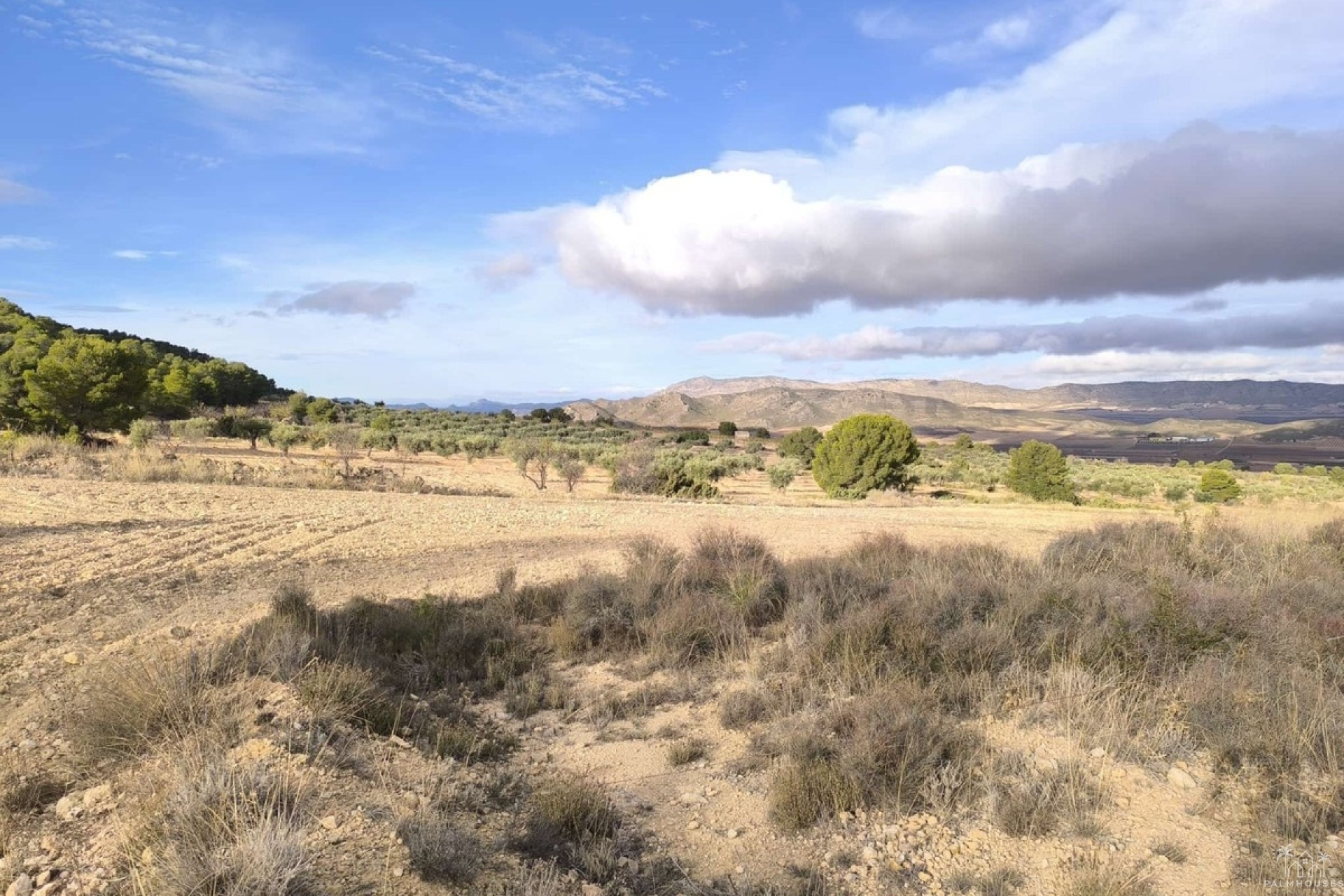 Revente - Country house - Yecla - Yecla Centro