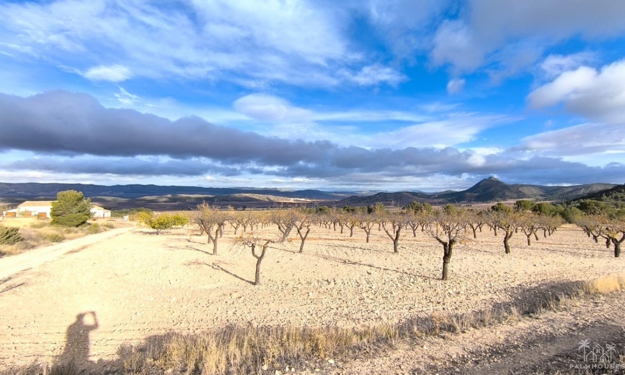 Revente - Country house - Yecla - Yecla Centro