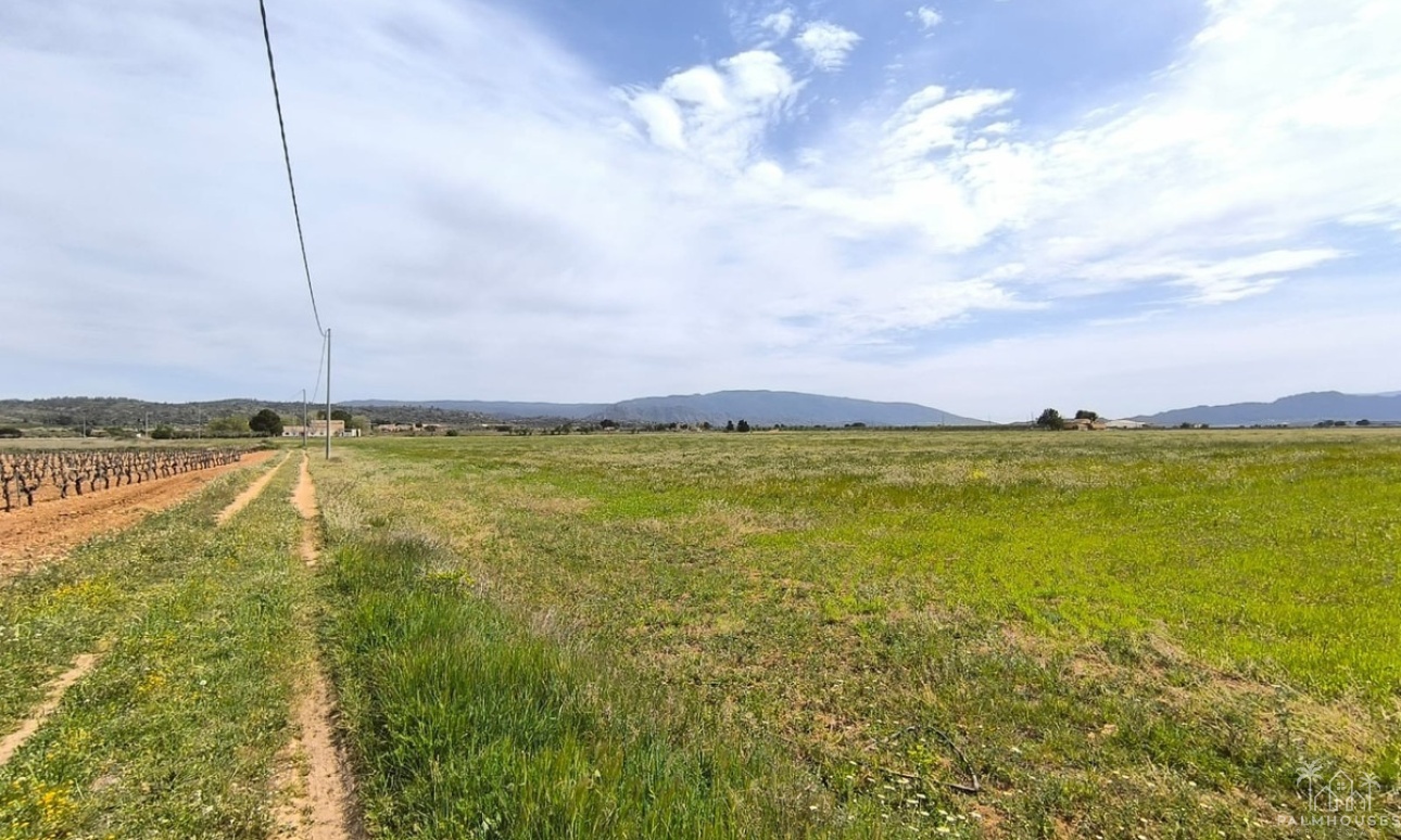 Revente - Country house - Yecla - Yecla Centro