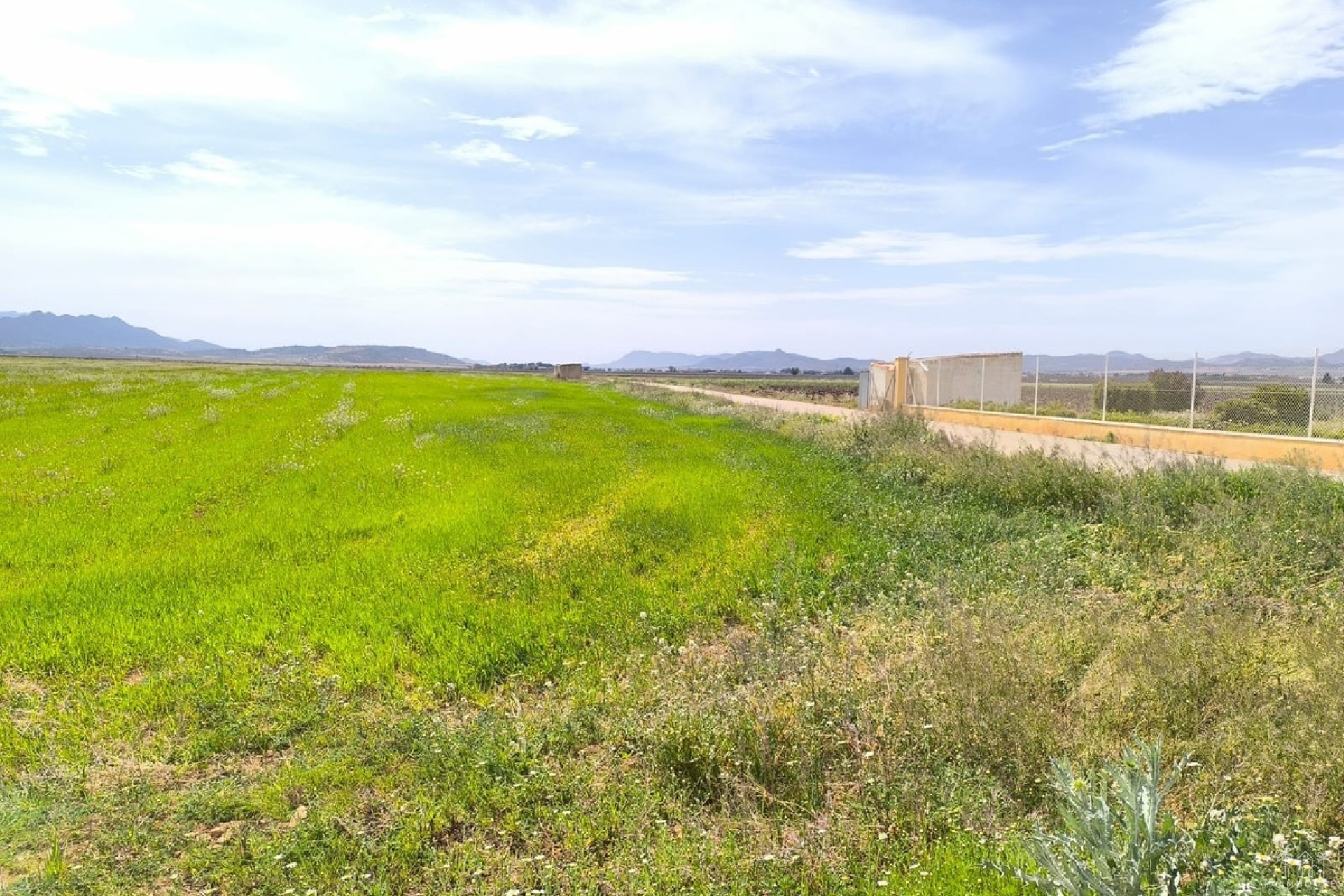 Revente - Country house - Yecla - Yecla Centro
