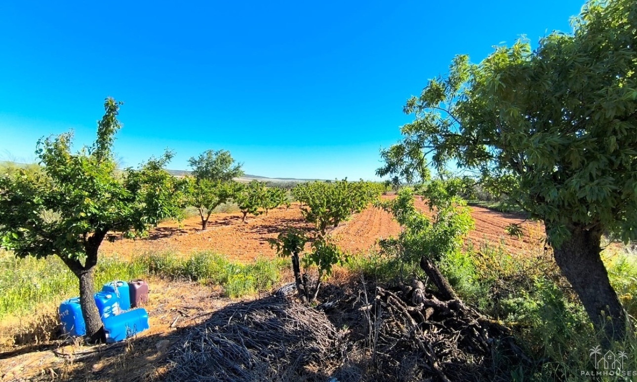 Revente - Country house - Yecla - Yecla Centro