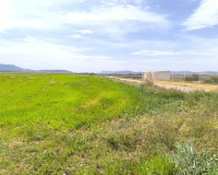 Revente - Country house - Yecla - Yecla Centro