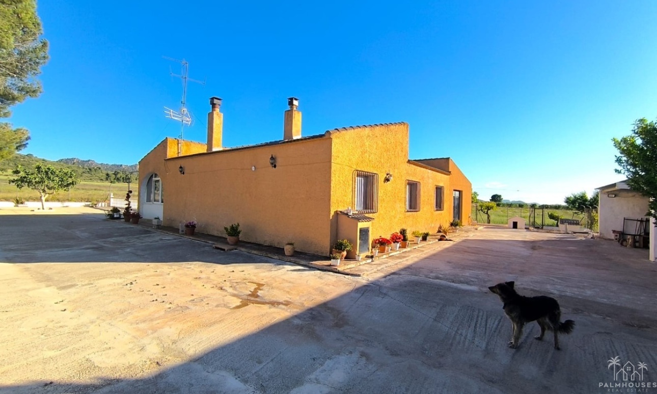 Revente - Country house - Yecla - Yecla Centro