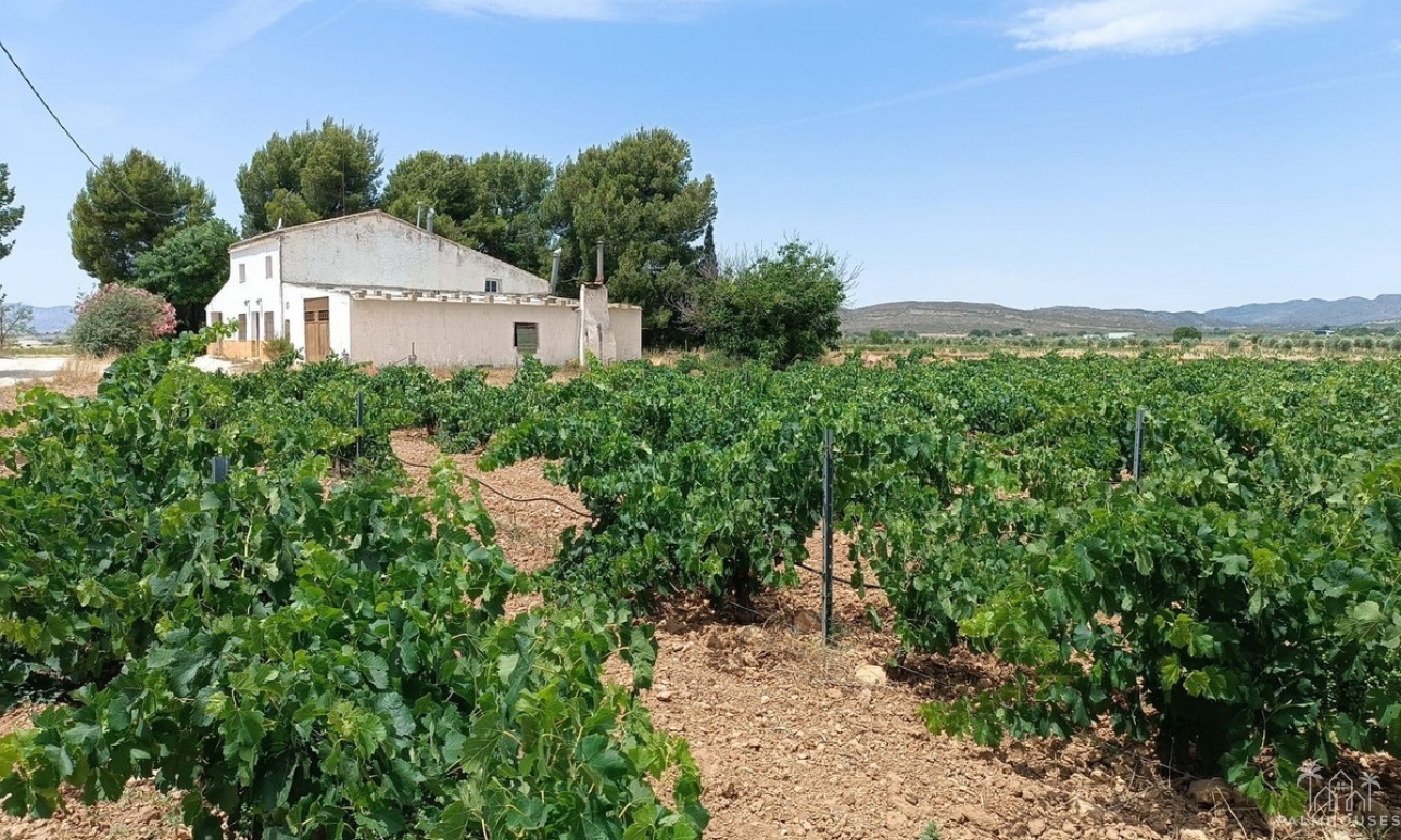 Revente - Country house - Yecla - Yecla Centro