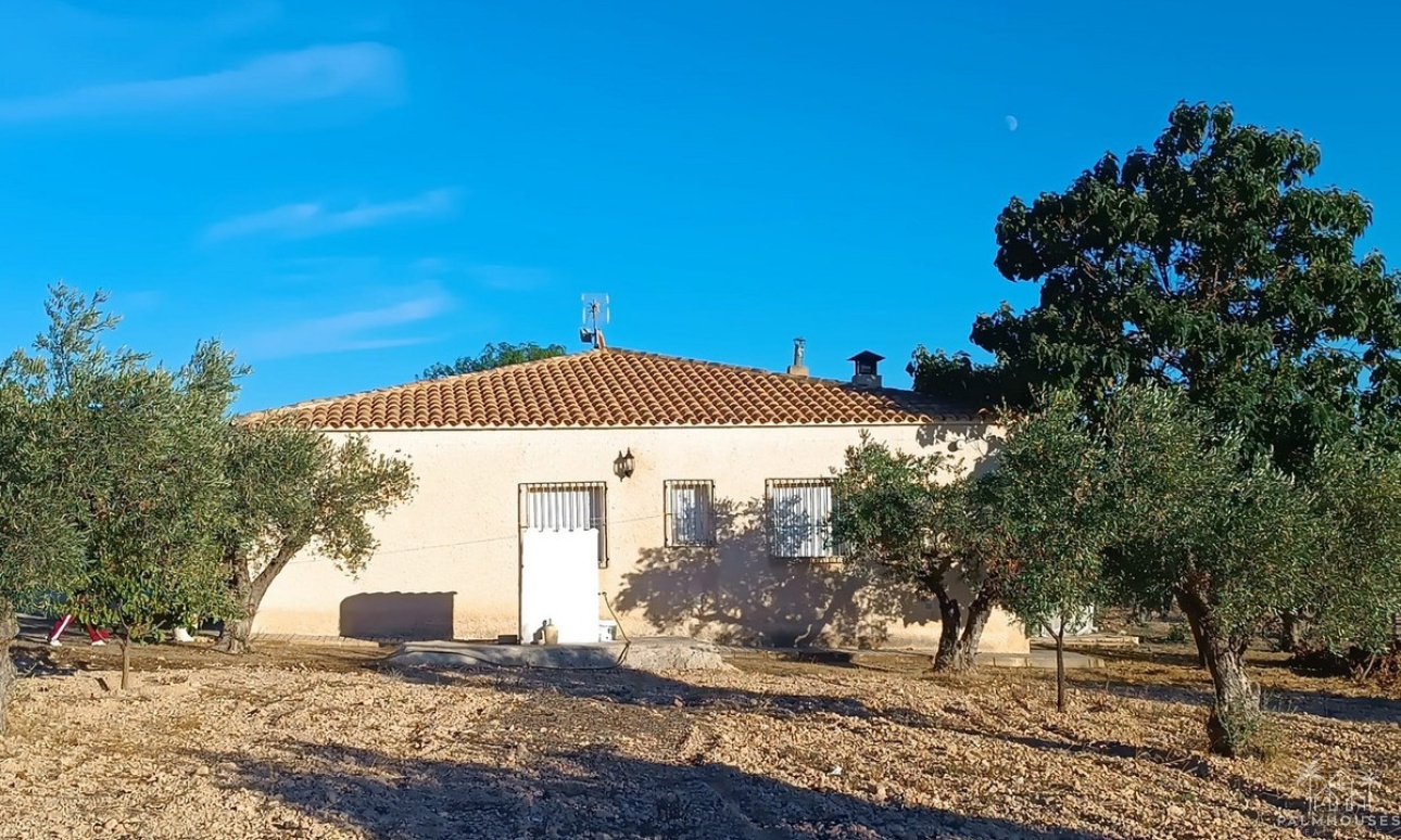 Revente - Country house - Yecla - Yecla Centro