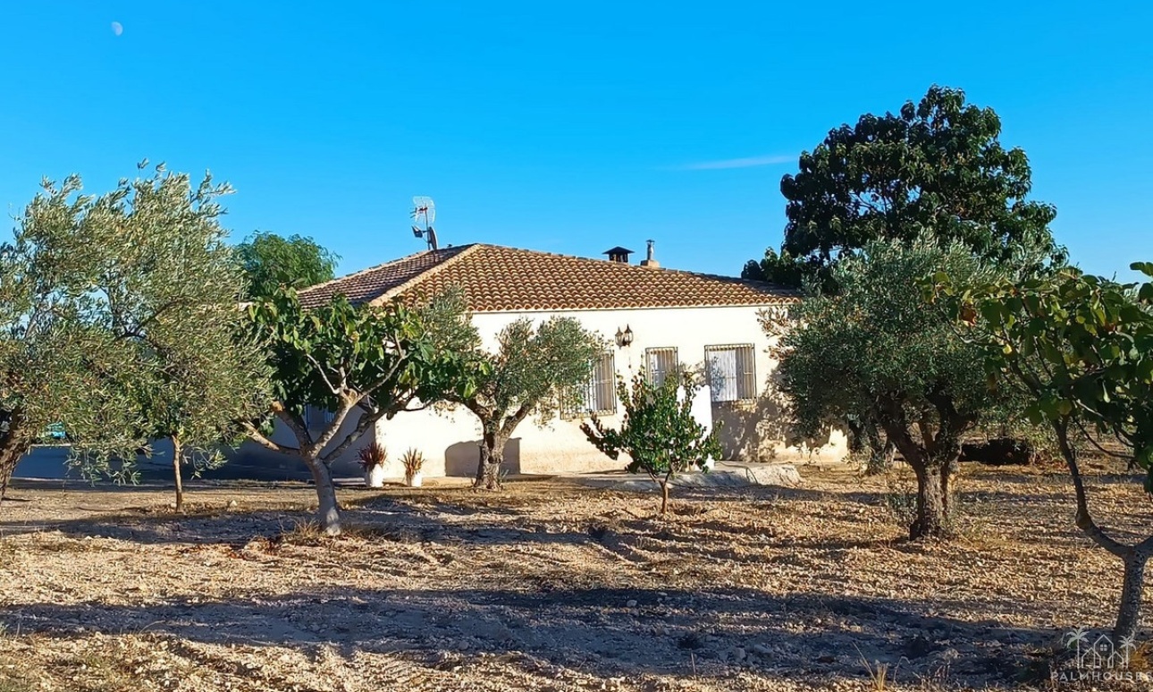 Revente - Country house - Yecla - Yecla Centro