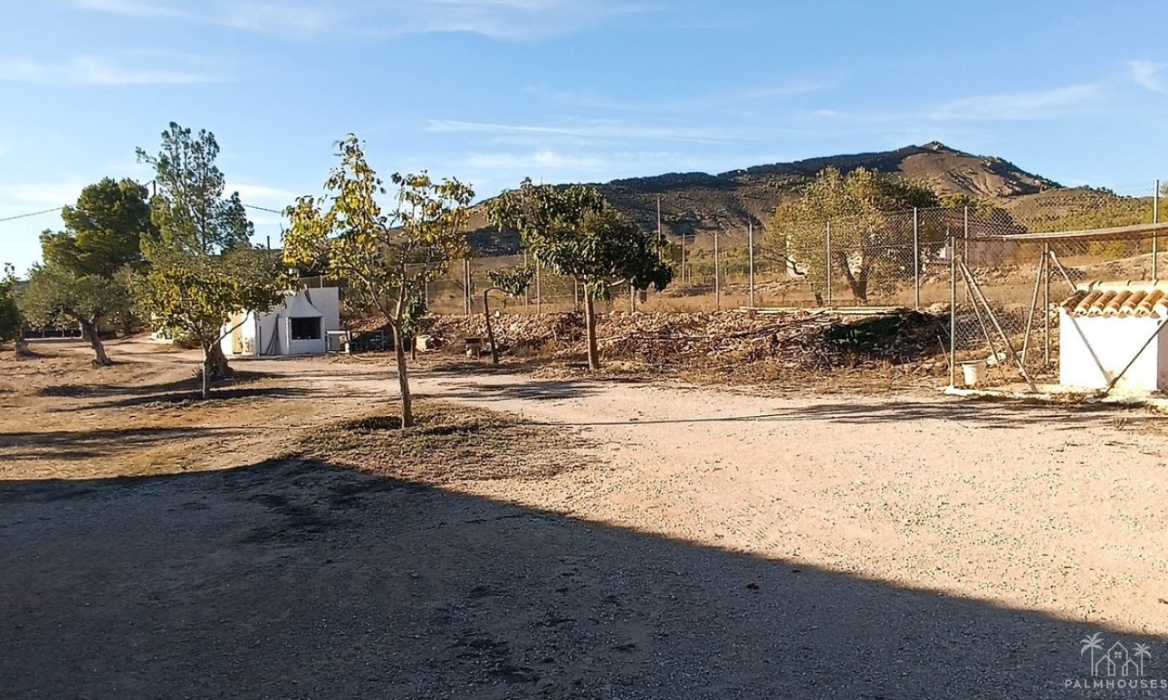 Revente - Country house - Yecla - Yecla Centro