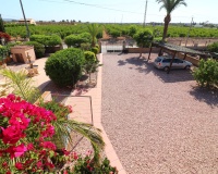 Revente - Finca - Albatera