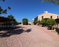 Revente - Finca - Albatera
