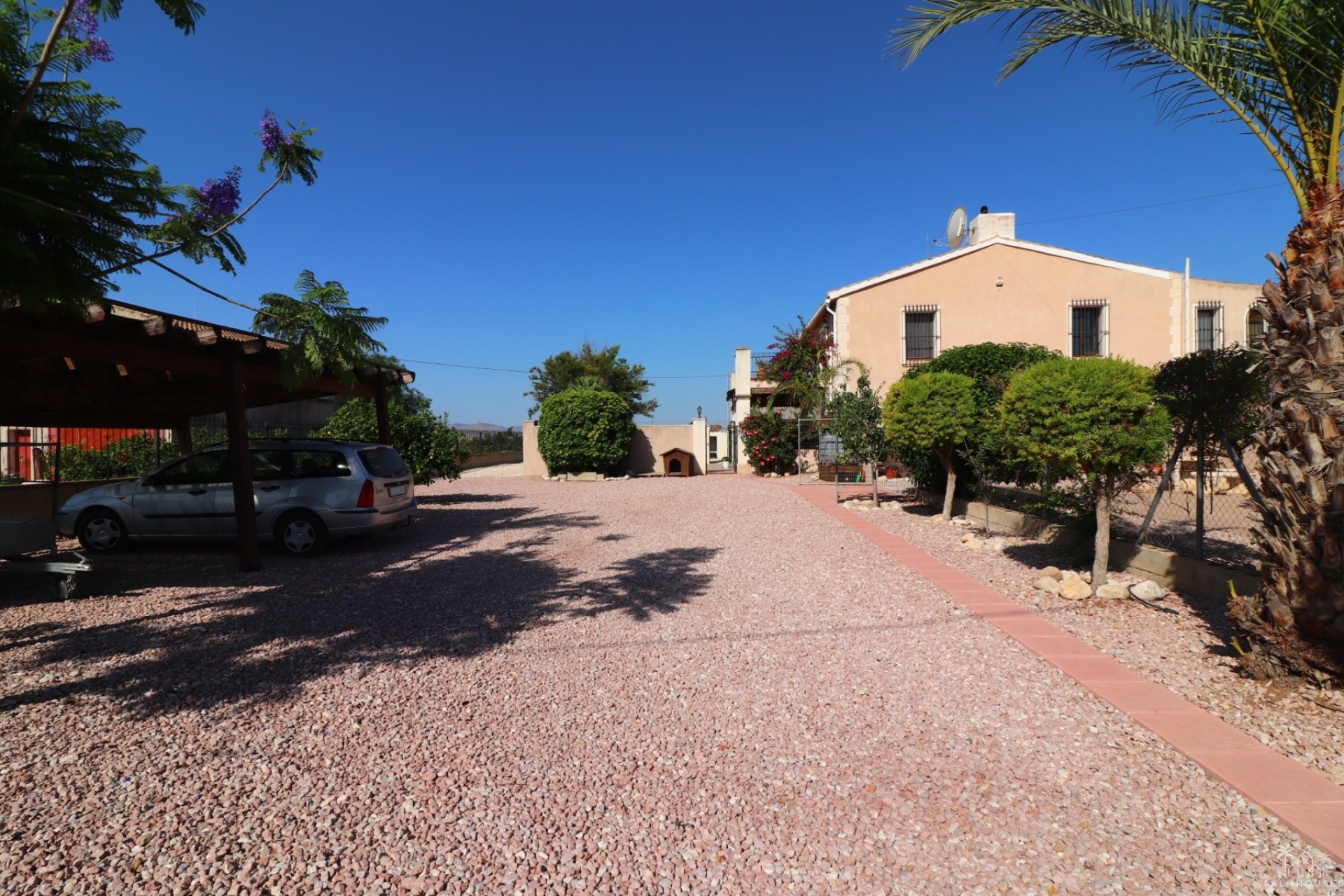 Revente - Finca - Albatera
