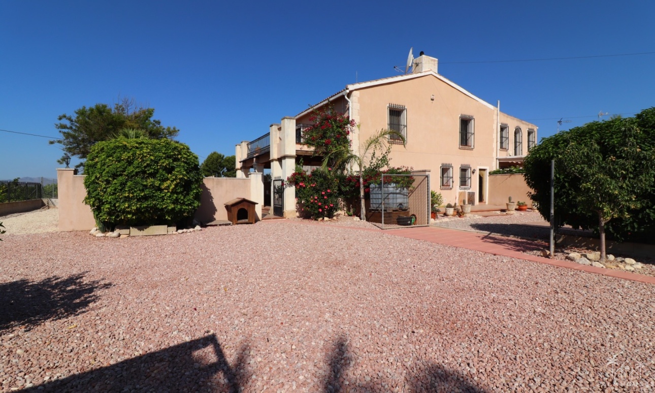 Revente - Finca - Albatera