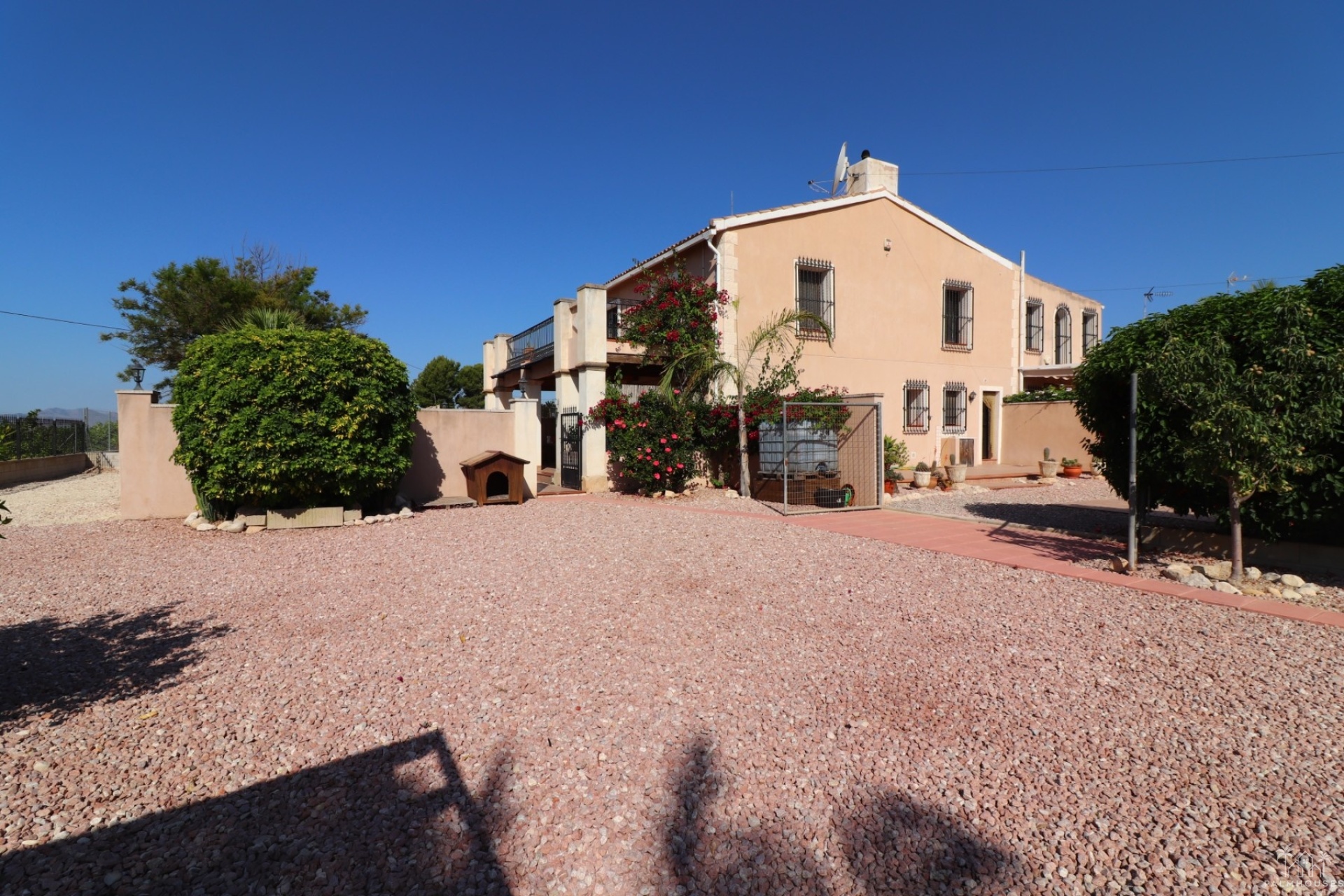 Revente - Finca - Albatera
