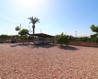 Revente - Finca - Albatera
