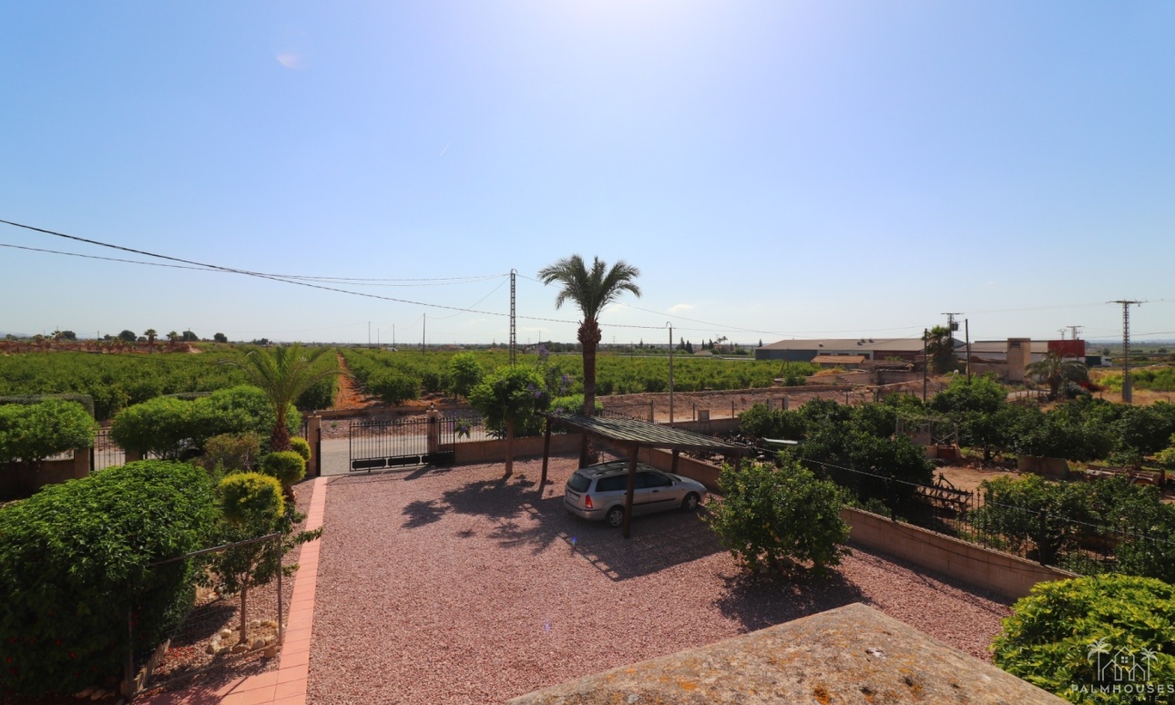 Revente - Finca - Albatera