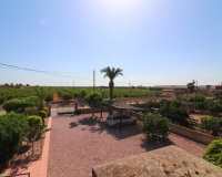 Revente - Finca - Albatera