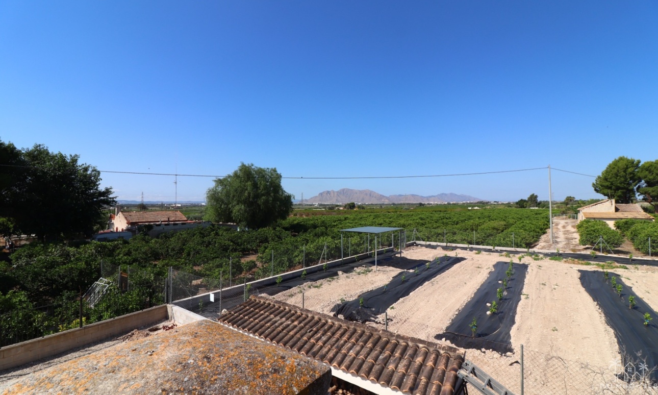 Revente - Finca - Albatera