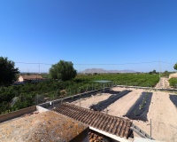 Revente - Finca - Albatera