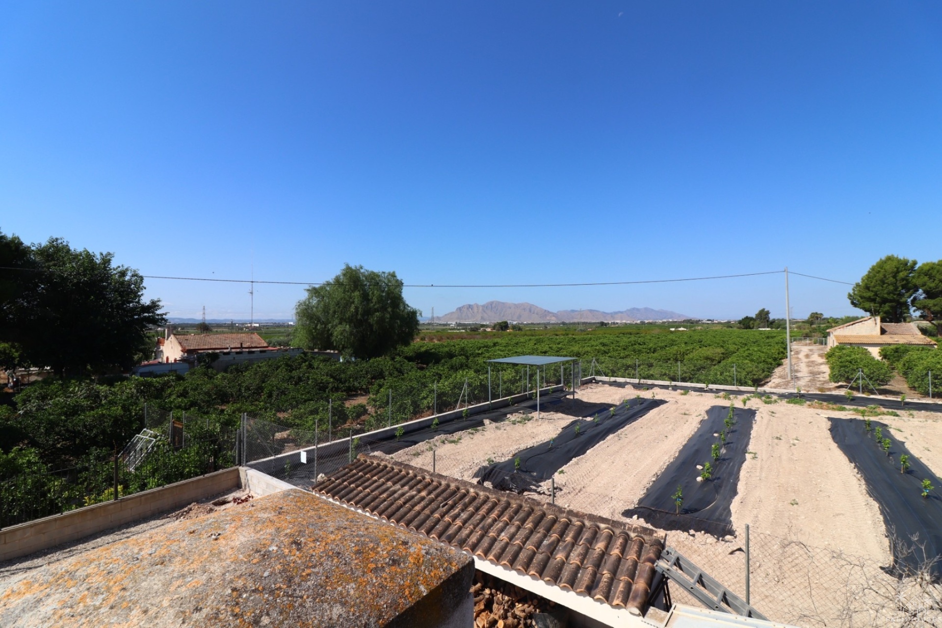 Revente - Finca - Albatera