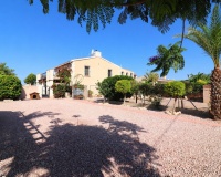 Revente - Finca - Albatera