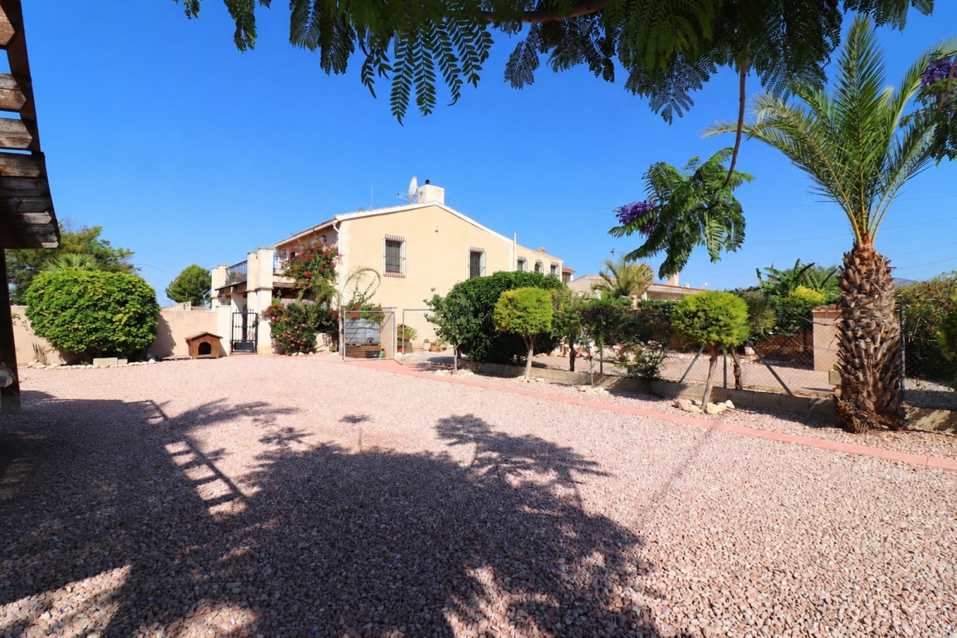 Revente - Finca - Albatera