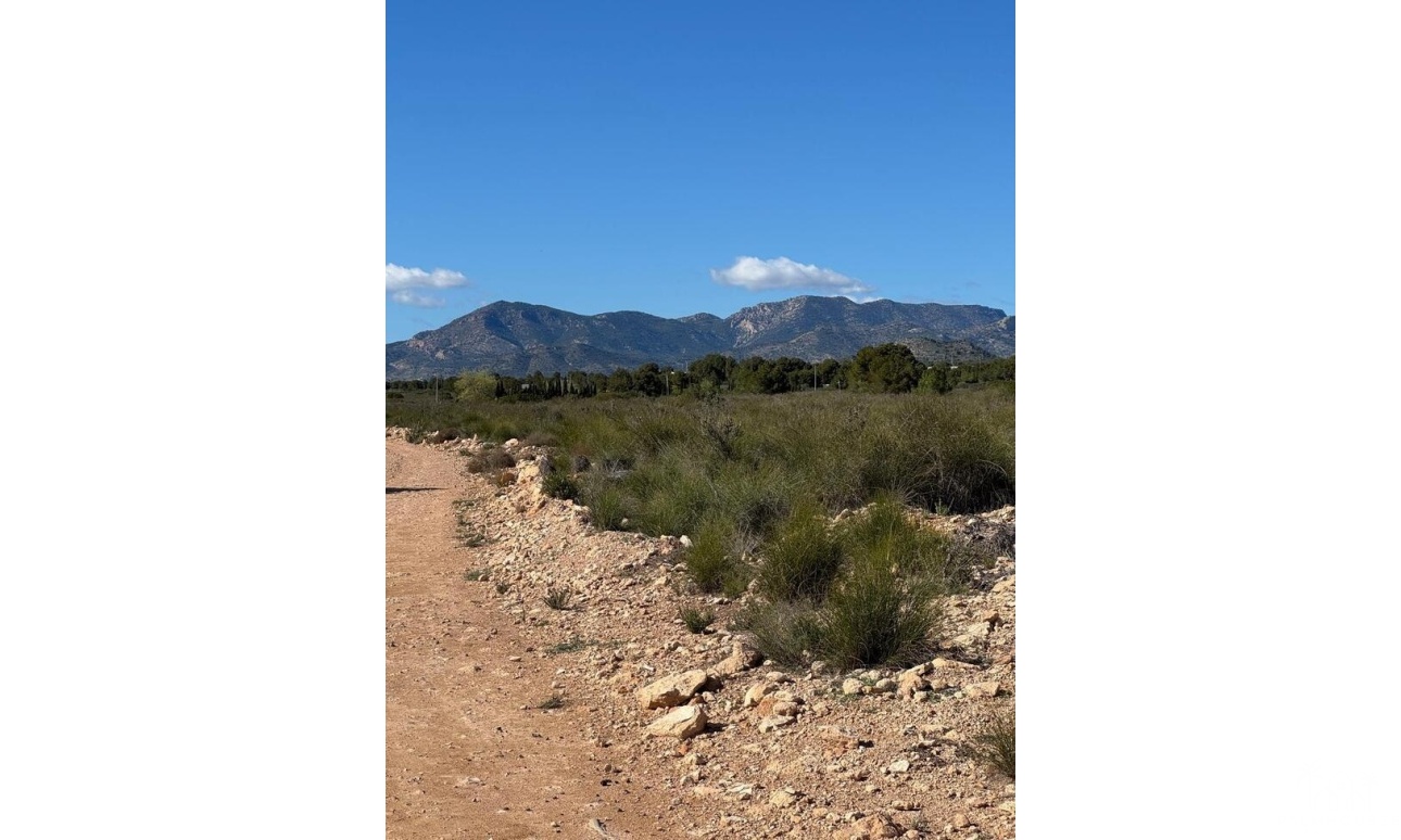 Revente - Finca - Aledo - Other