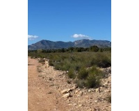 Revente - Finca - Aledo - Other