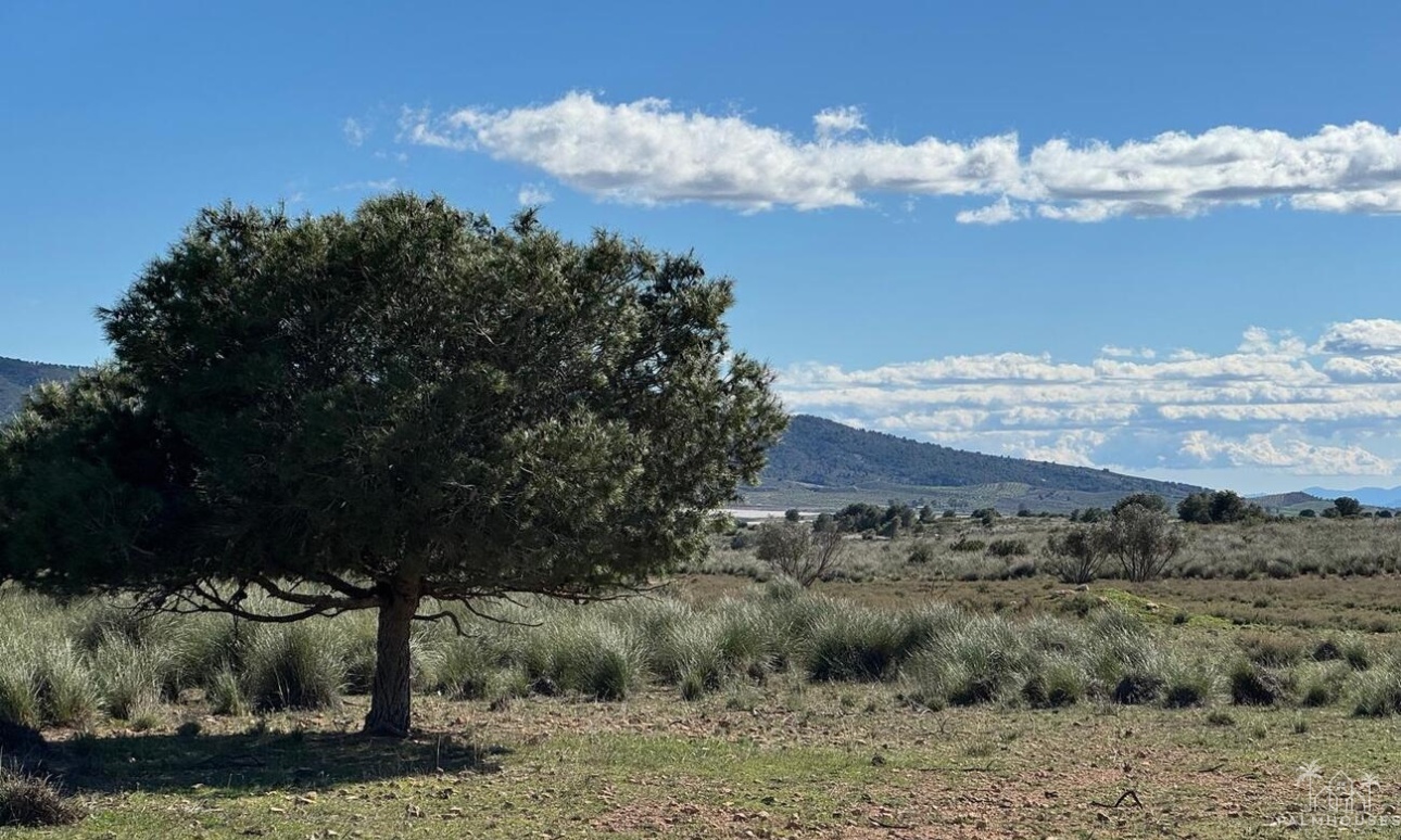 Revente - Finca - Aledo - Other
