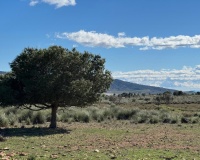 Revente - Finca - Aledo - Other