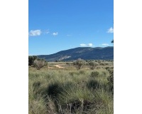Revente - Finca - Aledo - Other