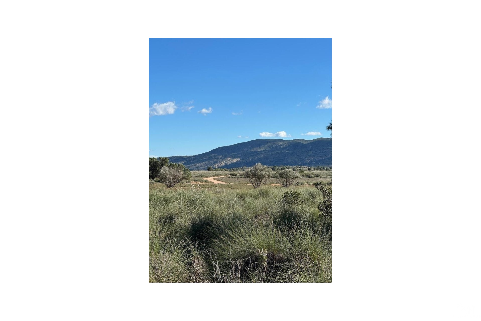 Revente - Finca - Aledo - Other