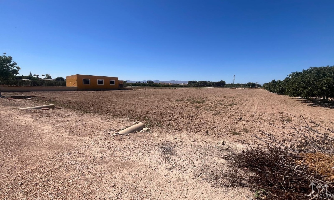 Revente - Finca - Alicante - La Bodega