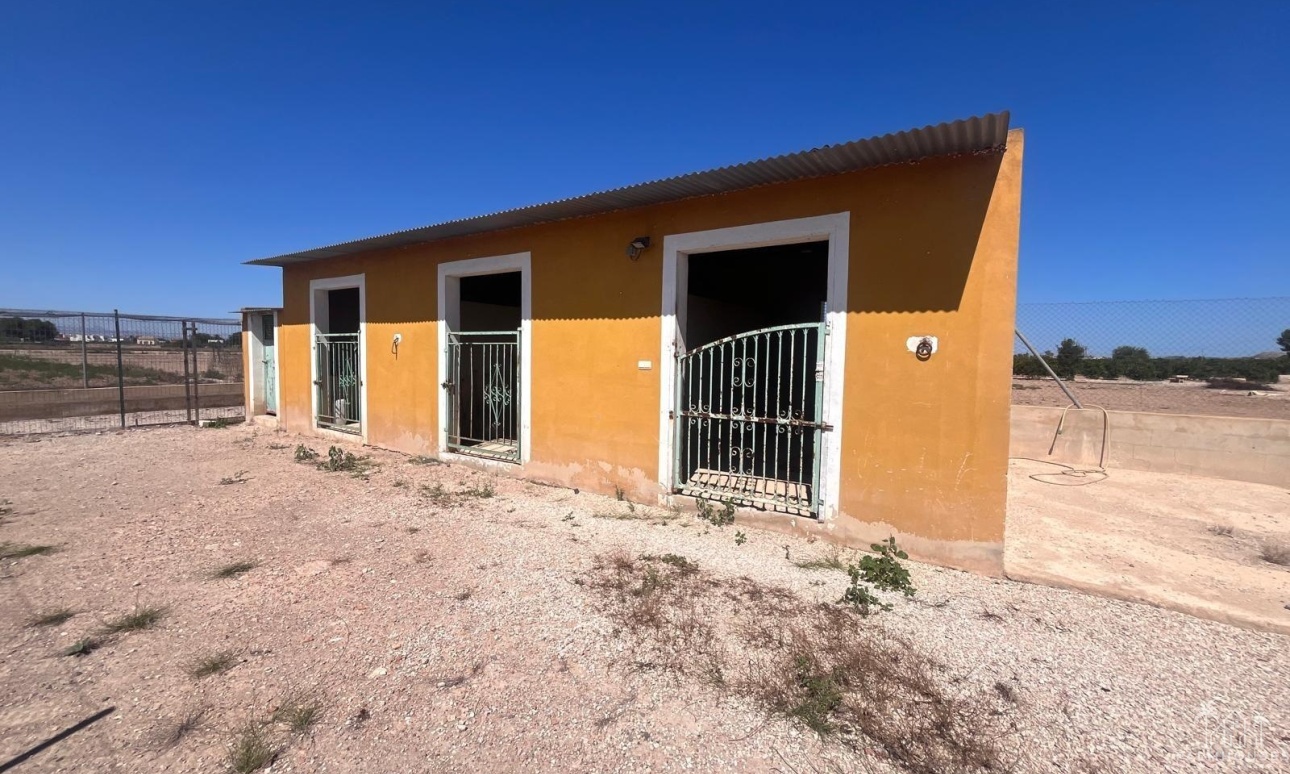Revente - Finca - Alicante - La Bodega
