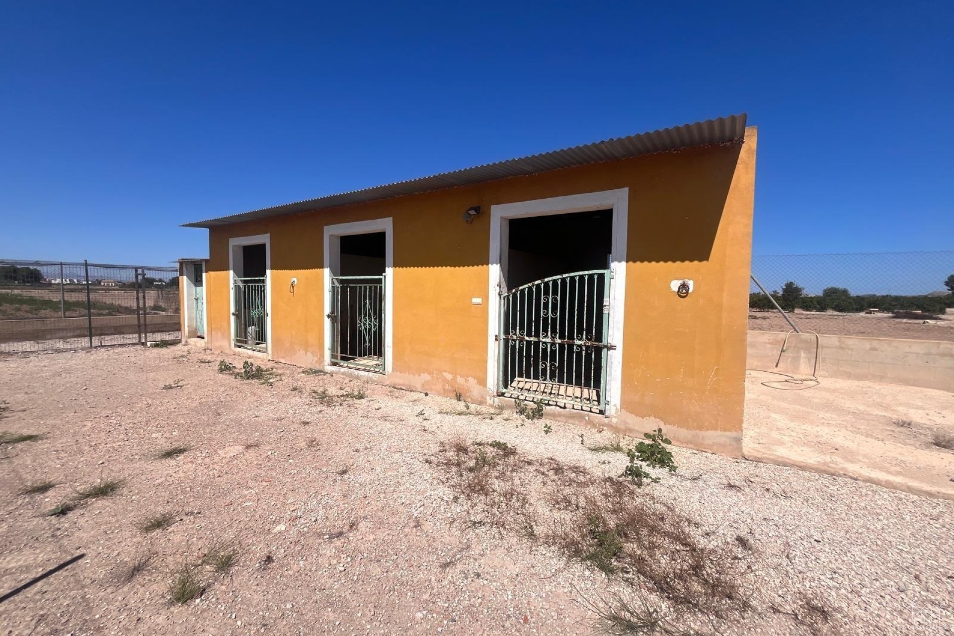 Revente - Finca - Alicante - La Bodega