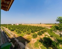 Revente - Finca - Almoradi - Camino De Catral