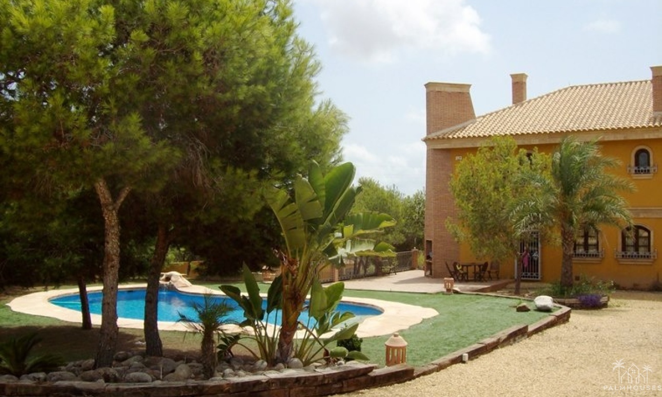 Revente - Finca - Ciudad Quesada - Lo Pepin