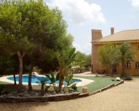 Revente - Finca - Ciudad Quesada - Lo Pepin