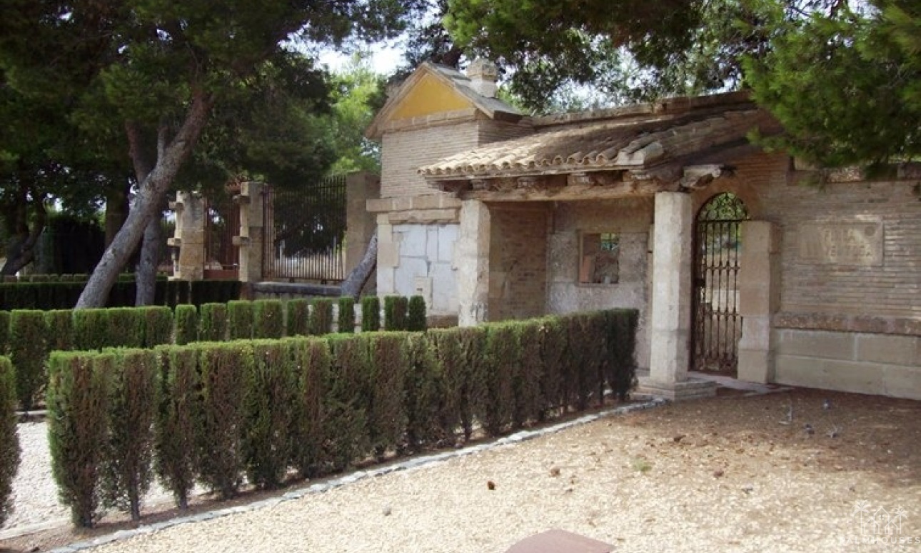 Revente - Finca - Ciudad Quesada - Lo Pepin