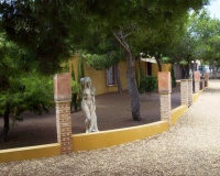 Revente - Finca - Ciudad Quesada - Lo Pepin