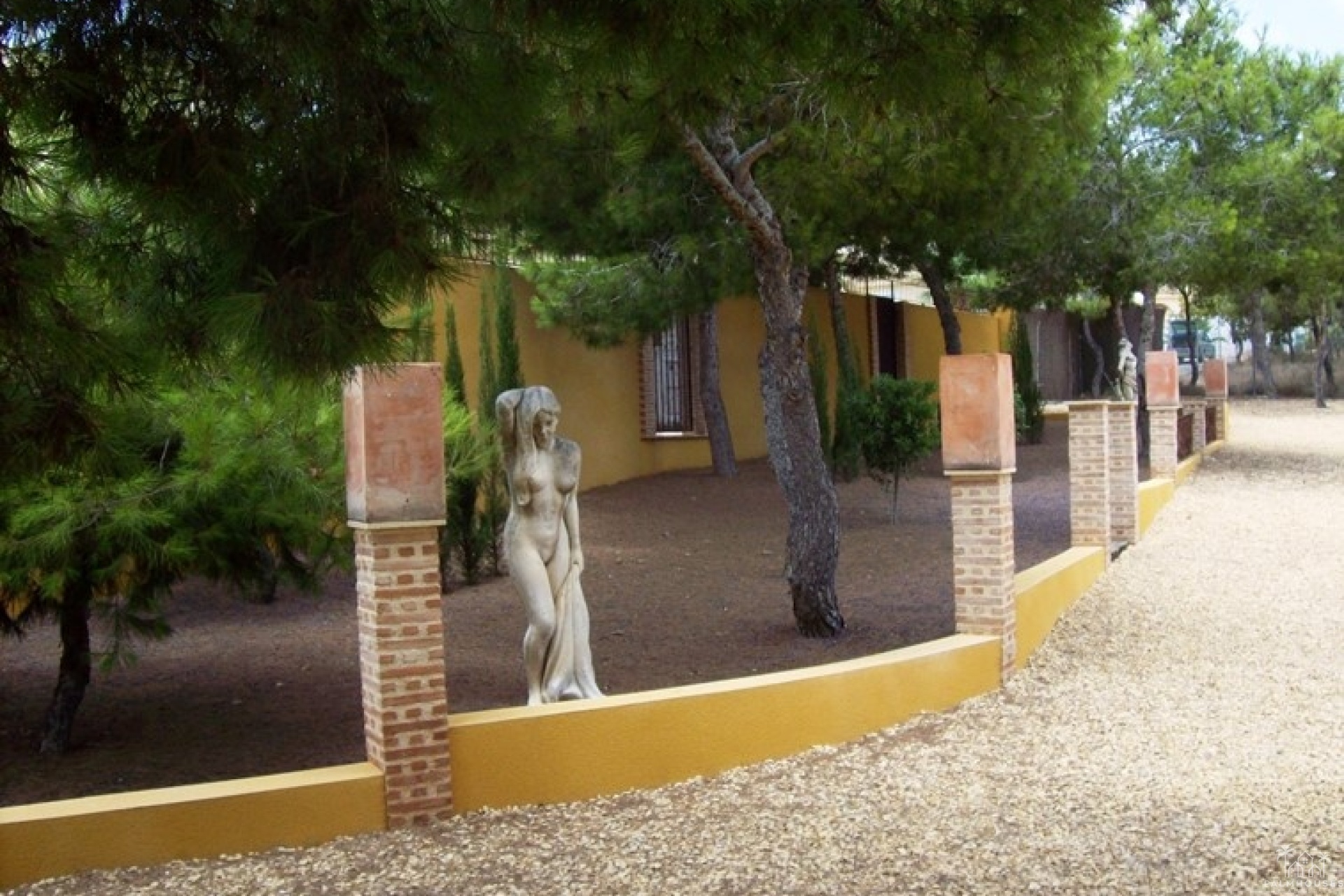 Revente - Finca - Ciudad Quesada - Lo Pepin