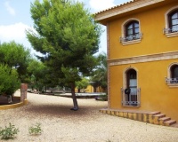 Revente - Finca - Ciudad Quesada - Lo Pepin