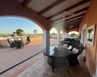 Revente - Finca - Dolores - Comunidad Valenciana