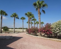 Revente - Finca - Dolores - Comunidad Valenciana