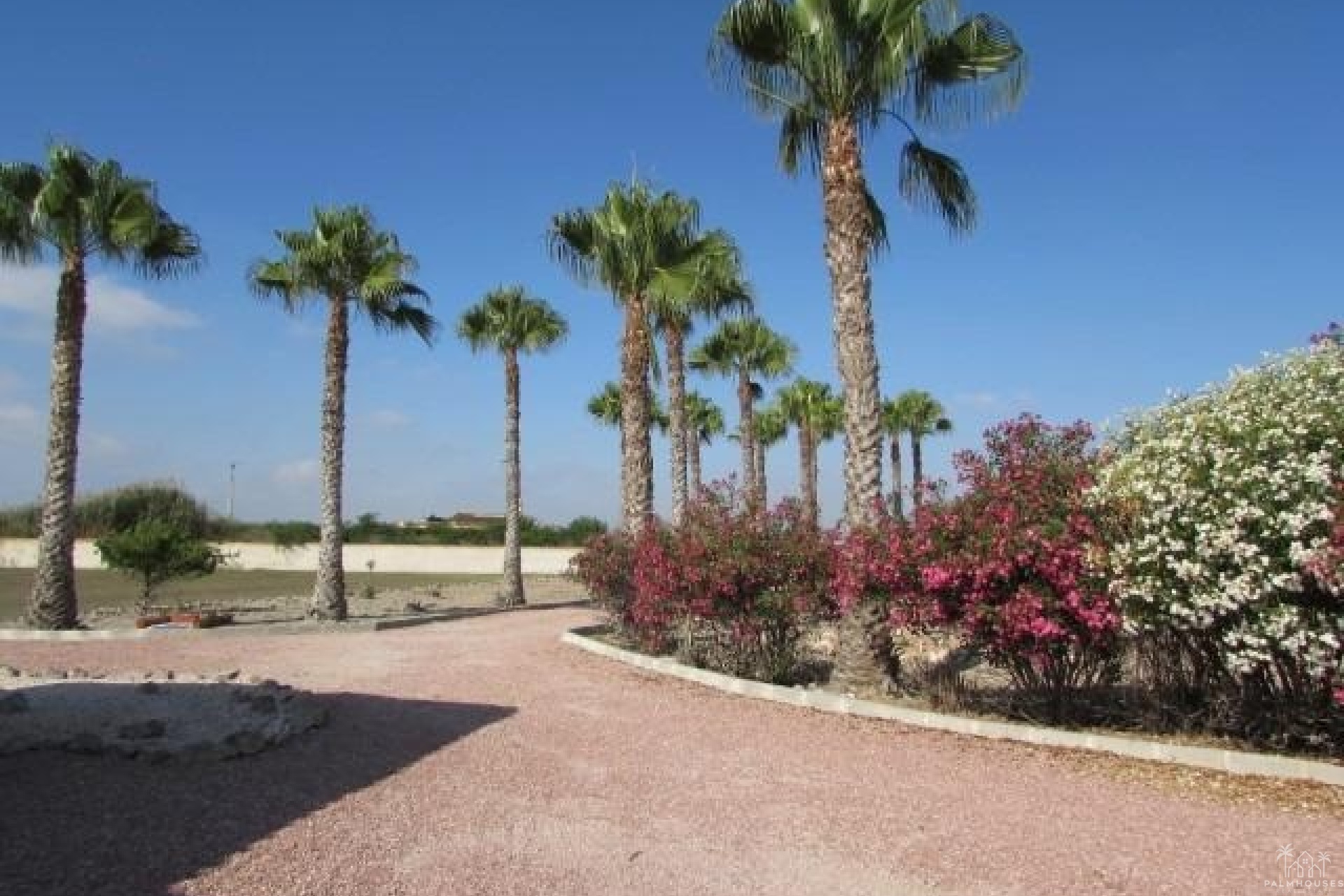 Revente - Finca - Dolores - Comunidad Valenciana